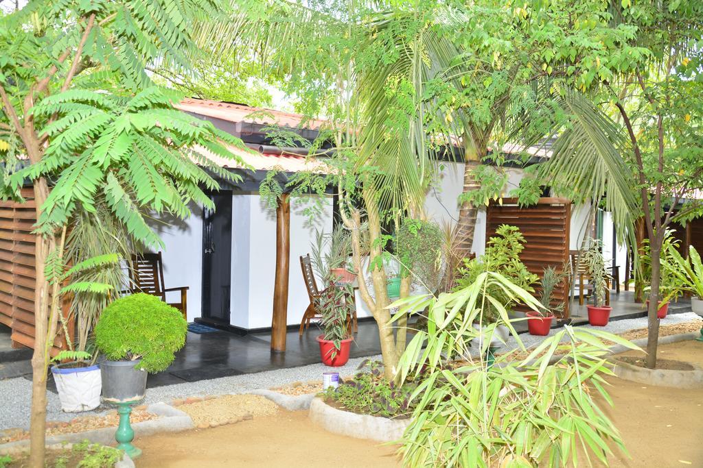 Livinginn פולונרואה מראה חיצוני תמונה